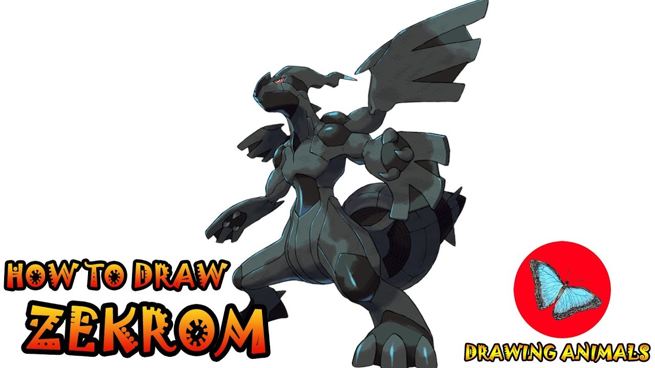 zekrom drawing