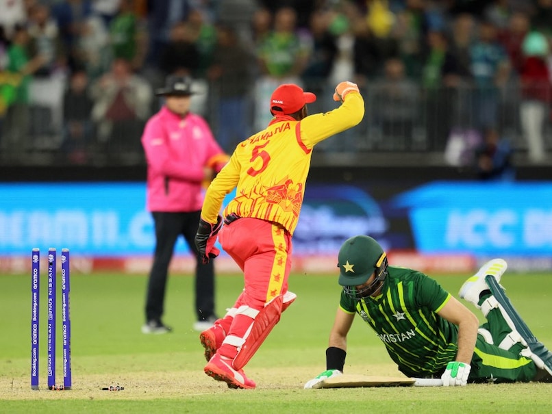 zim a vs pak shaheen