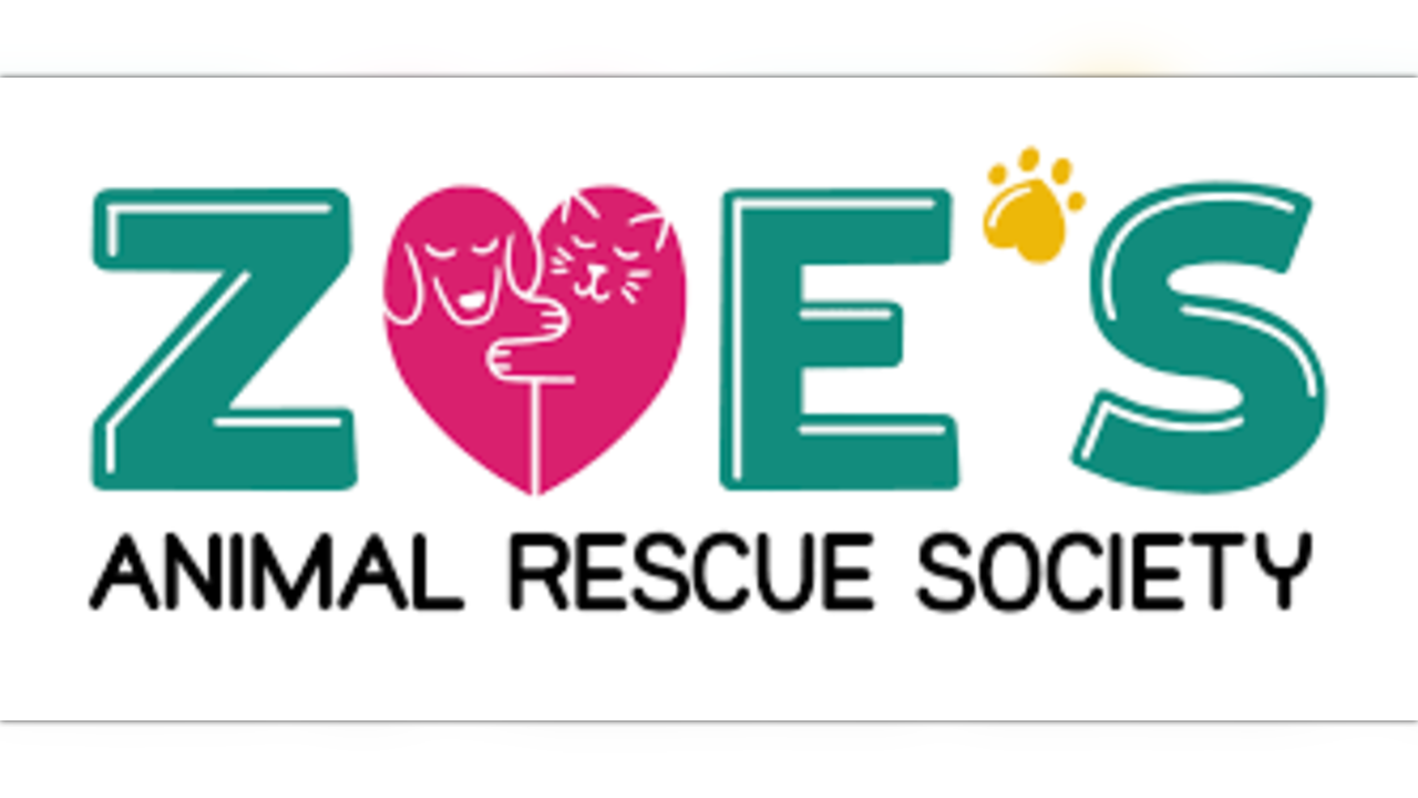 zoes animal rescue