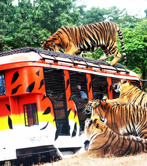 zoobic safari philippines